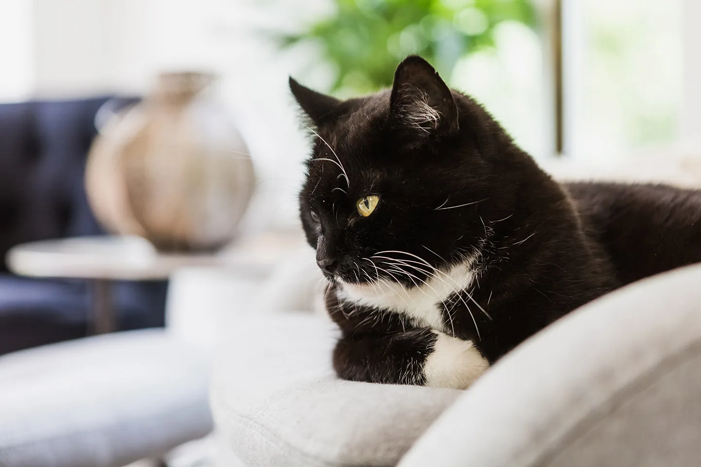 Bosumhus - Höllviken