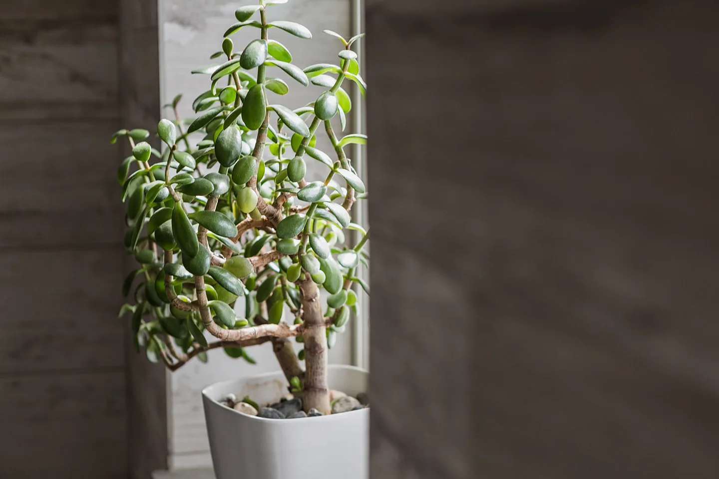 Bosumhus - Höllviken