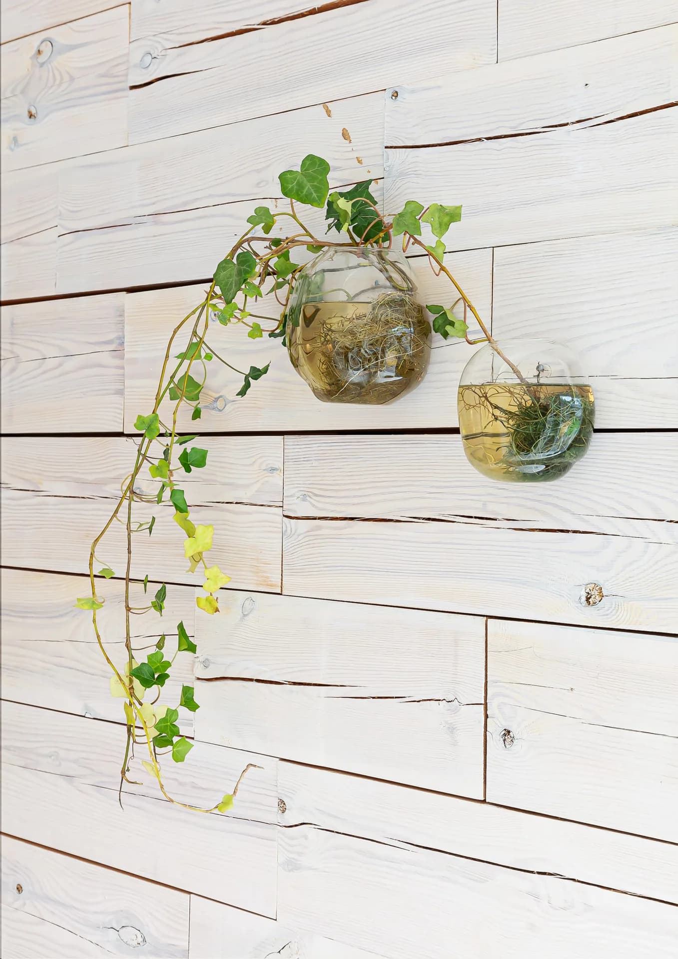 1-planshus, Höllviken