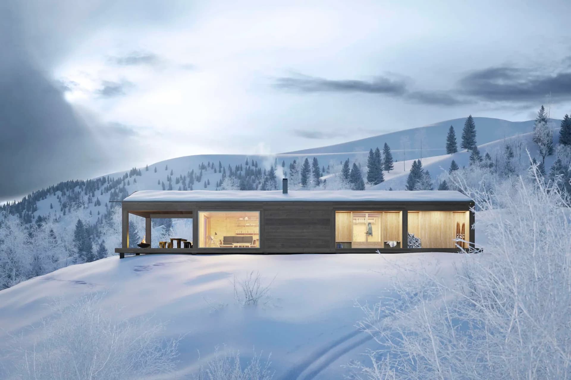 Vinter 100