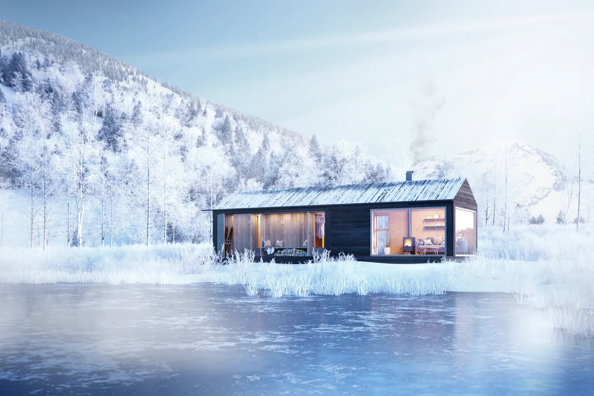Vinter 50