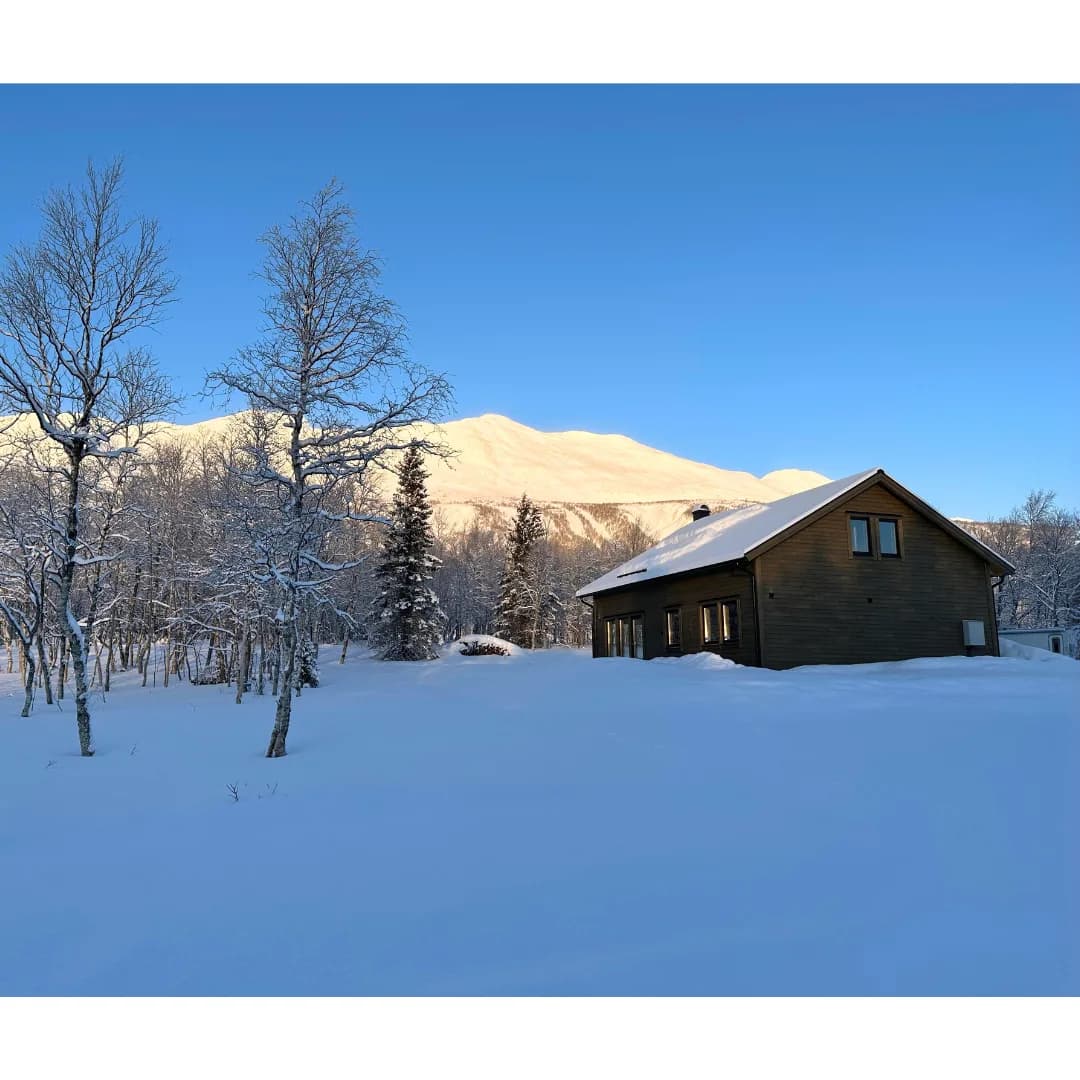 TH95L Skidspåret