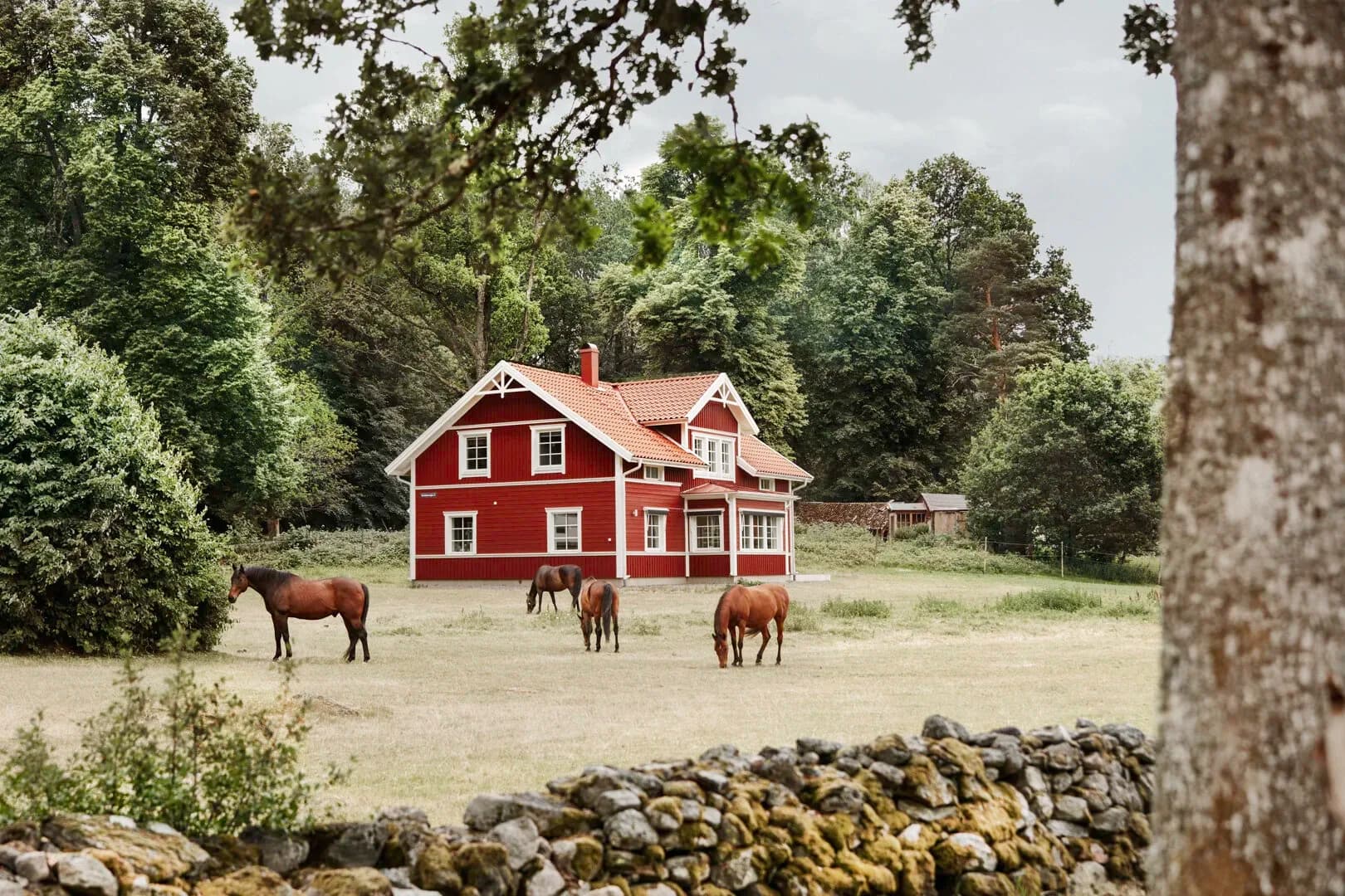 Villa Rosendal