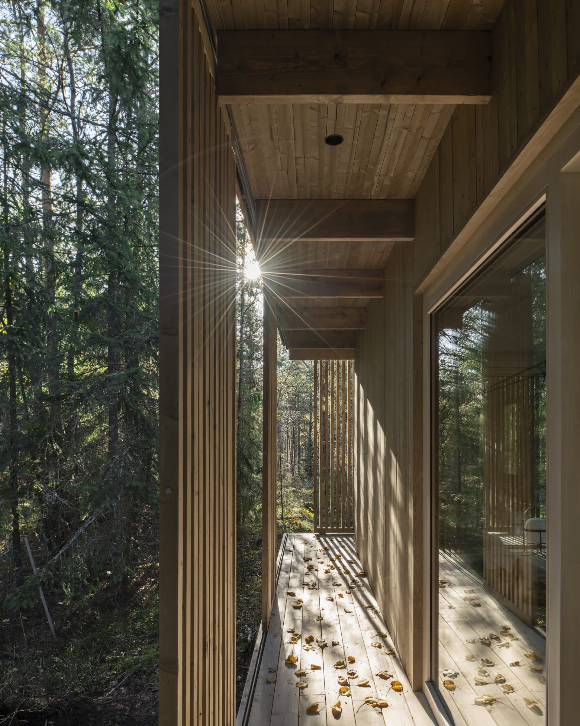 autumn rays of light gimme shelter