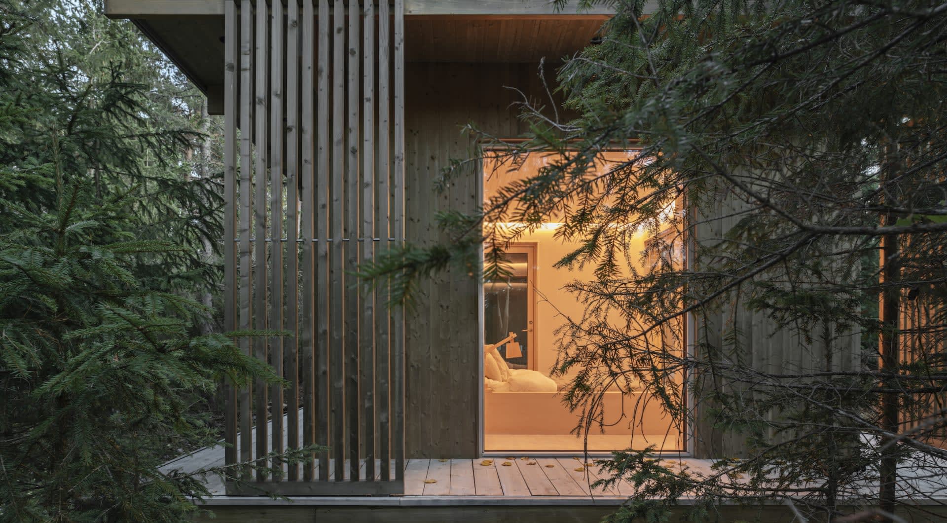 dusk forest gimme shelter